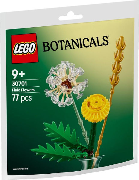 Flores do campo