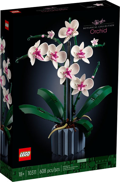 Orquidea