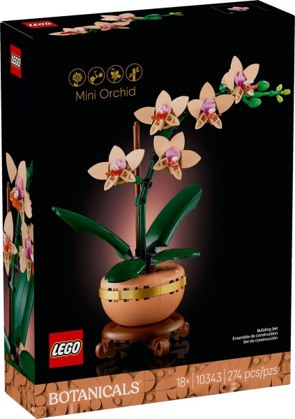 Mini Orquidea