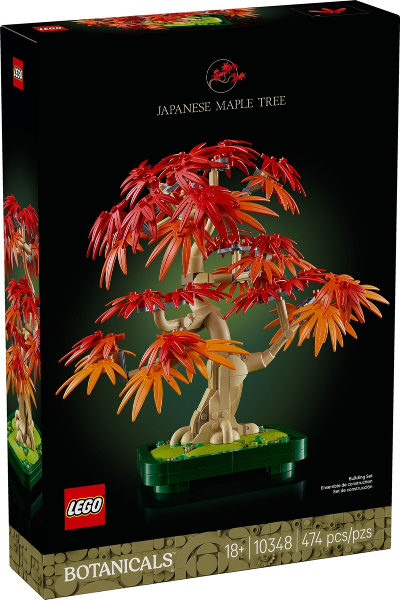 Árvore de bonsai de bordo vermelho japonês