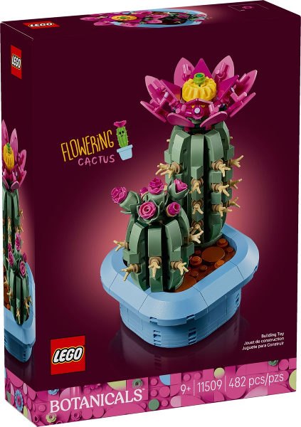 Cacto Florido