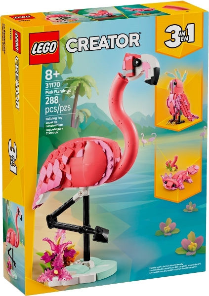 Animal Selvagem: Flamingo Rosa