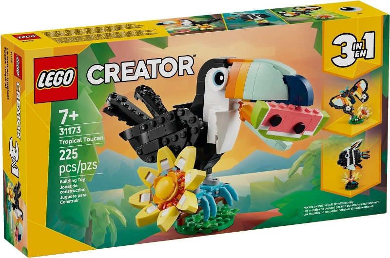 Animais Selvagens: Tucano Tropical