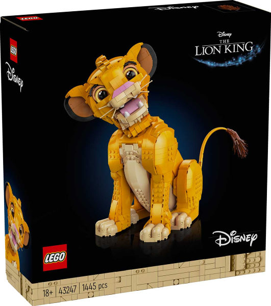 Jovem Simba o Rei Leão