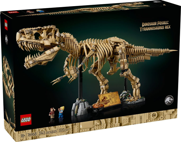 Dinosaur Fossils: Tyrannosaurus rex