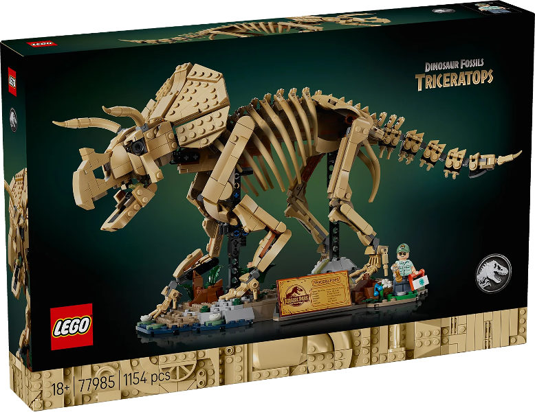 Fósseis de Dinossauros: Triceratops
